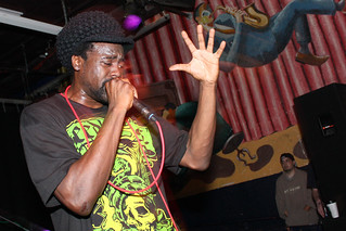 Maxilla Blue Asphate