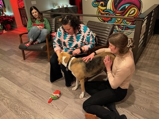 Nicole Sutherland - Nicole is jelly of the dog pettin