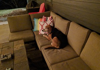 2737 - Garth hates parties