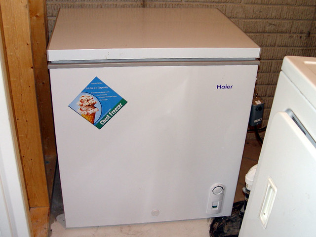 My deep freezer with a probe thermostat