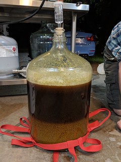Homebrew - settling wort