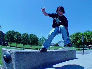 Funny Looking Makio on a Ledge