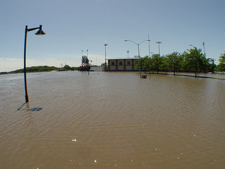 Flood - Sec Taylor, Friday