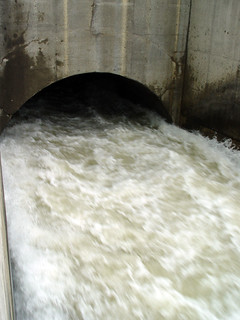 Flood - This water is moving crazy, crazy fast.