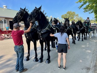 This dude has spent some money on this hobby