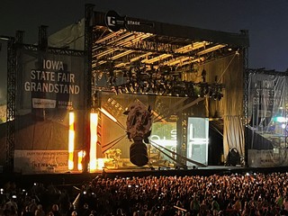 Art - Chicks comin on