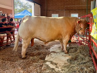 Look at this 3,000 pounder