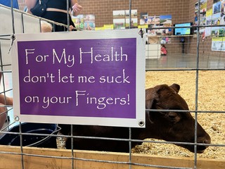 For My Health, don't let me suck on your Fingers!