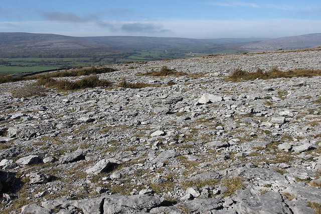 The Burren rock meets Irish grass