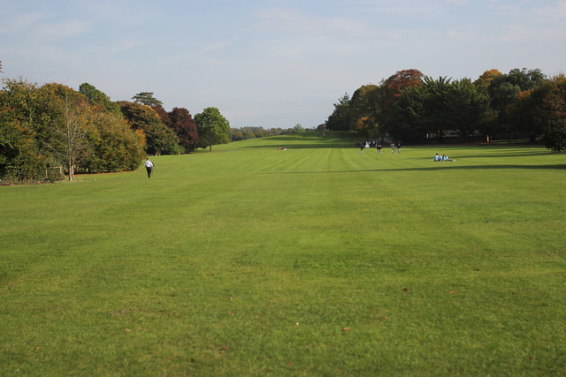 A crazy park behind the Kilkenny Castle courtyard