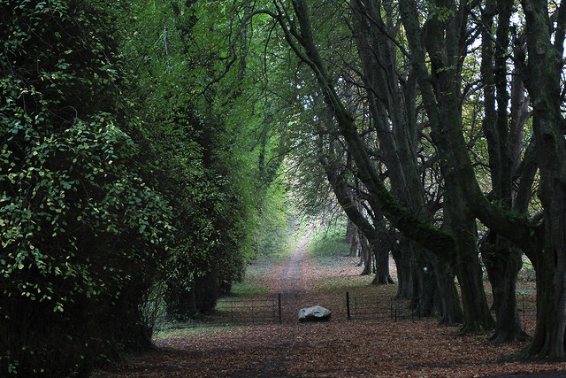 A neat path near the Muckross Abbey