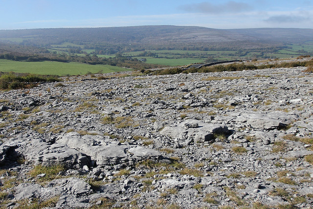 The Burren rock meets Irish grass
