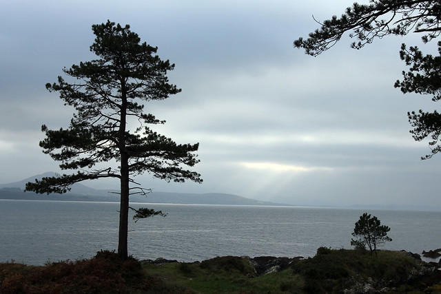 Along the Ring of Kerry