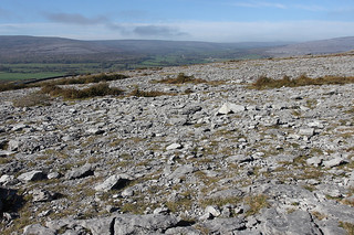 The Burren rock meets Irish grass