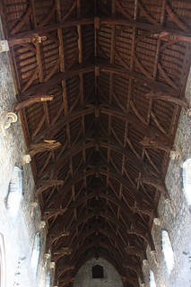 Ceiling of St Canice's Cathedral