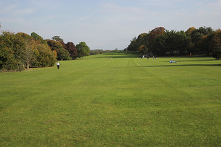 A crazy park behind the Kilkenny Castle courtyard