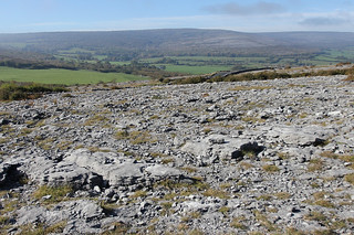 The Burren rock meets Irish grass