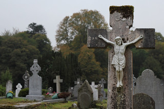 frame - Gravestones at Muckross Abbey
