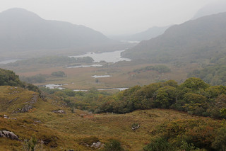 Fog - Lady's View on a foggy day