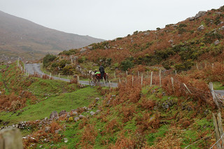Trail at the Gap of Dunloe