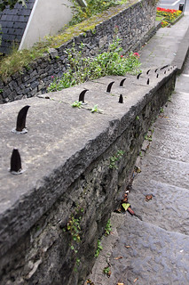 Ireland skate stoppers are serious business