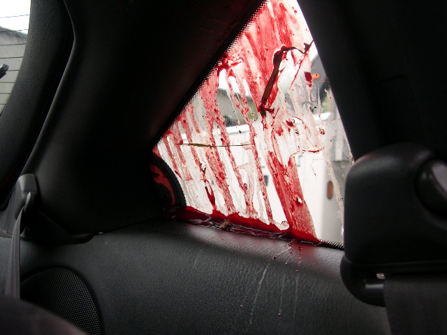 Blood on the back window