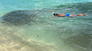 Big ol school of fish