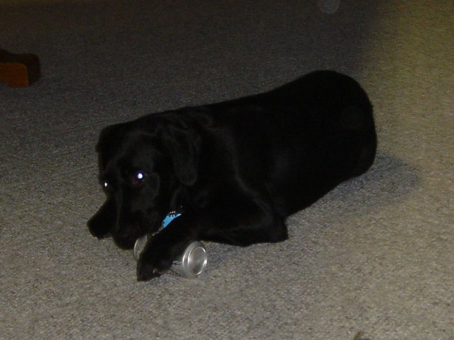 Ninja trying to drink beer