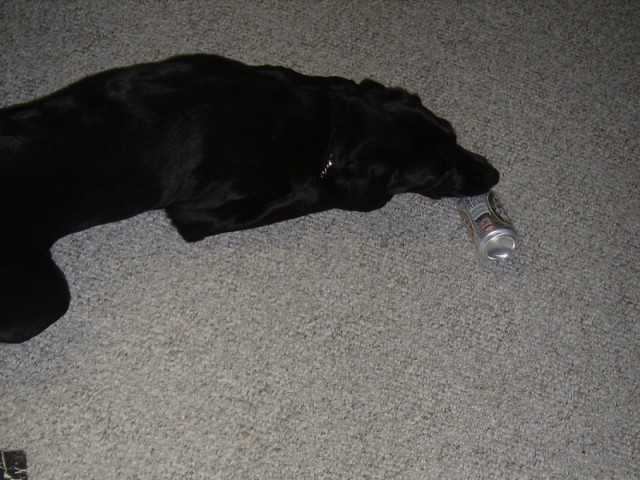 Ninja trying to drink beer