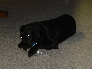 Ninja trying to drink beer