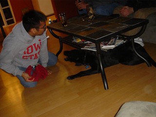 Nathan D - Nathan playing with Ninja