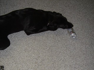 Ninja trying to drink beer