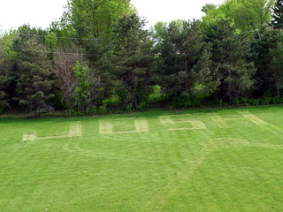 Nathan is an awesome lawn mower