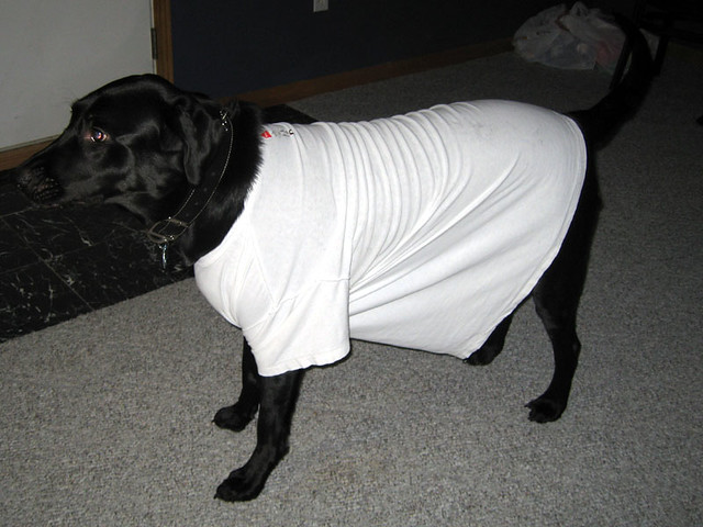 2 minutes later he went outside and peed all over it.