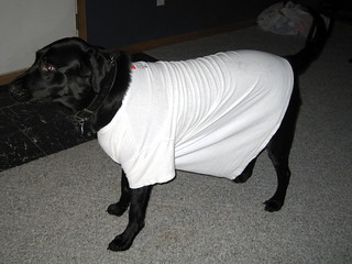 2 minutes later he went outside and peed all over it.