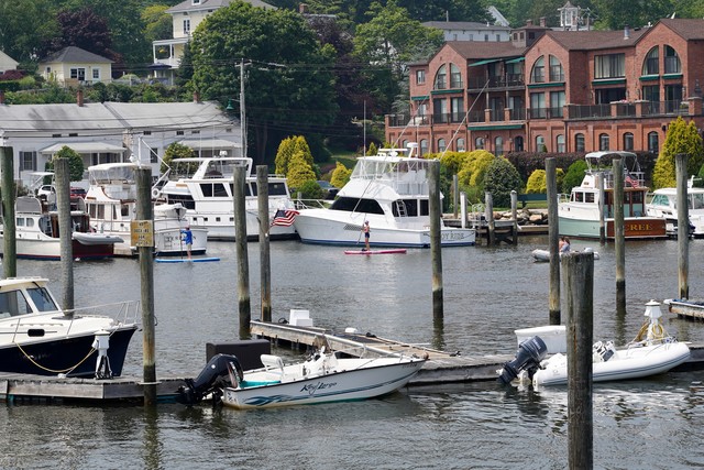 Paddleboarding through the marina