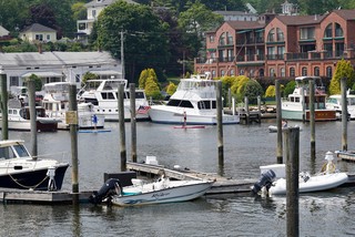 Paddleboarding through the marina