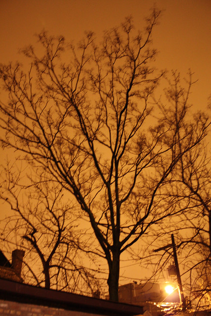 Tree on a Yellow Sky