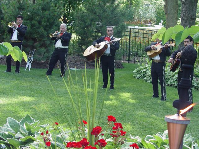 The Mariachi Band
