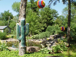 Sweet Cactus in Steph's back yard