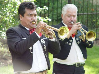 frame - The Mariachi Band