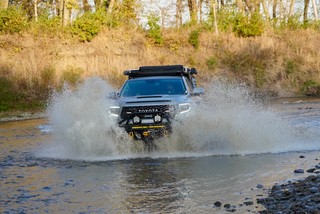 Steve doin Steve stuff