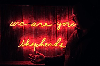 Black Sheep - Conor is our shepherd