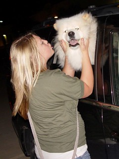 Who's a white puppy dog???