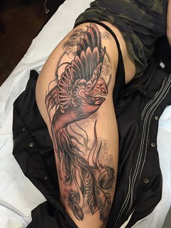 Tattoo - Super fresh shading on that Phoenix