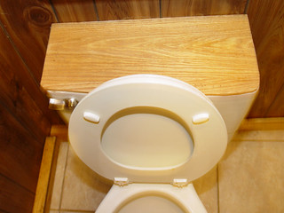 Sweet Toilet Tank Cover