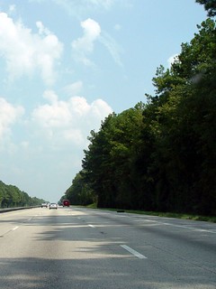 The Highways in GA and FL are lined with huge trees