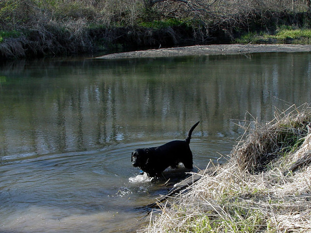 Ninja at Heritage Park