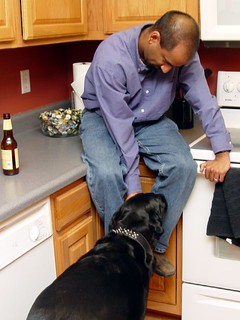 Ru Cheddie - r00's spot