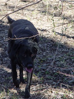Ninja at Heritage Park